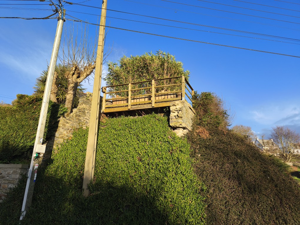 IMG 20260203 170457(2)