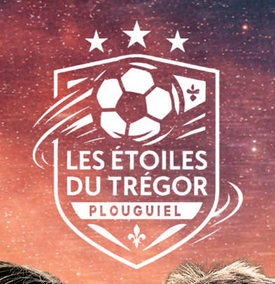 logo etoiles tregor